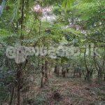 Land for sale (3987A) Herasagala