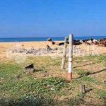 Beach land for sale near Blue water