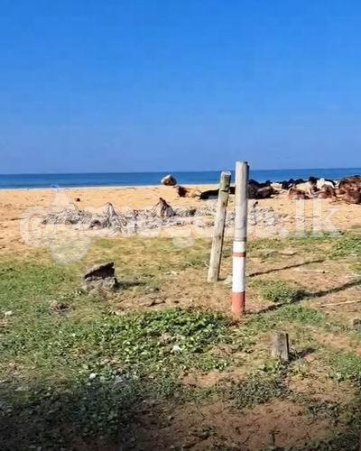 Beach land for sale near Blue water