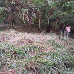 Land for sale (3987A) Herasagala