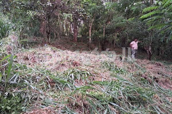 Land for sale (3987A) Herasagala