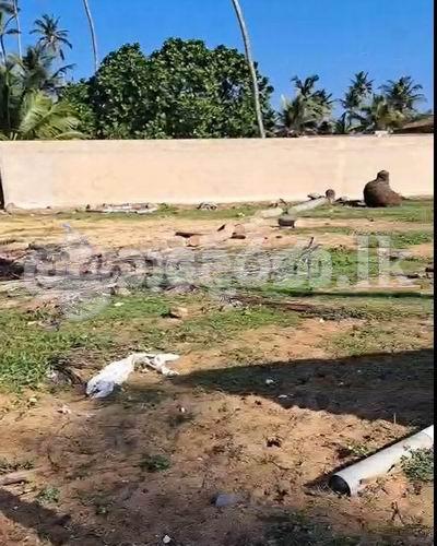 Beach land for sale near Blue water