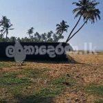 Beach land for sale near Blue water