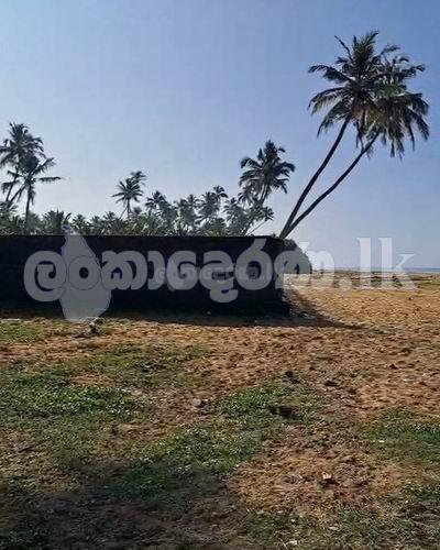 Beach land for sale near Blue water